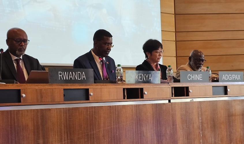 Handover of Co-Chairmanship of Group of Friends for Priority Africa