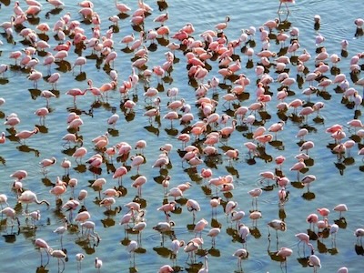 UNESCO World Heritage Site, Kenya Lake System in the Great Rift Valley