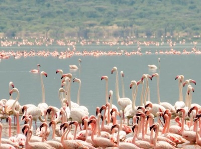kenya-lake-systems
