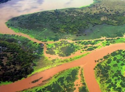 Tana Delta & Forests Complex